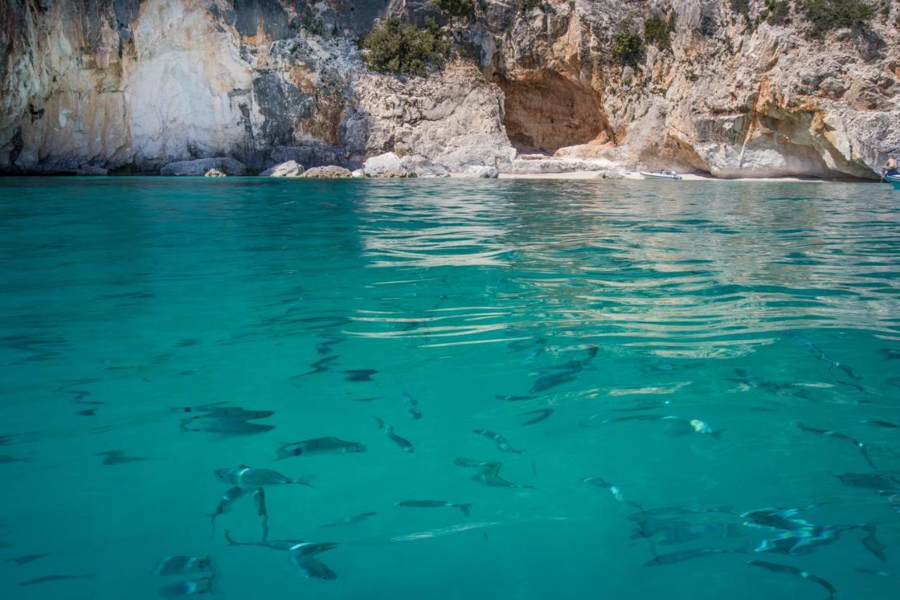 Appartamento Conghiglia nord Cala Gonone Esterno foto